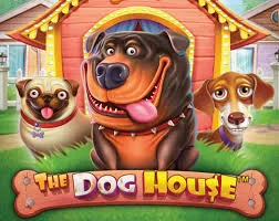 The Dog House met honden en sticky wilds
